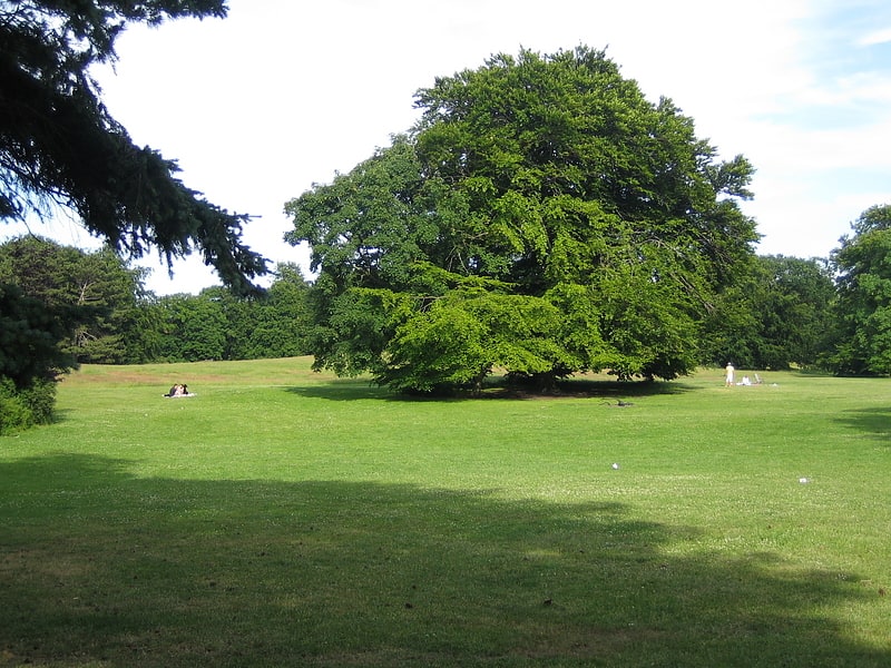 Park in Malmö, Sweden