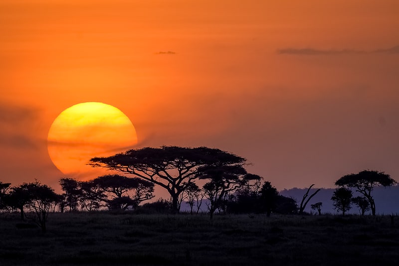 Nationalpark in Tansania