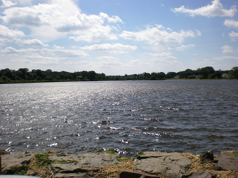 Freshwater pond in New Jersey