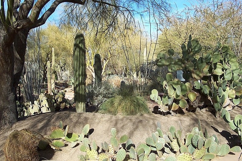 Jardín botánico en Nevada
