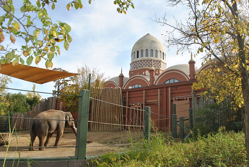 Zoo in Cincinnati, Ohio