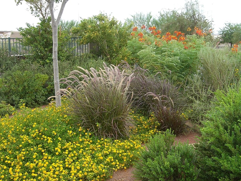 Botanical garden in Clark County, Nevada