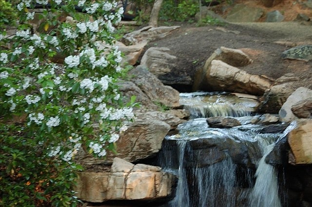 Botanical garden in Greensboro, North Carolina