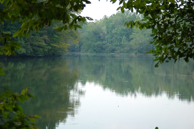 Reservoir in Georgia
