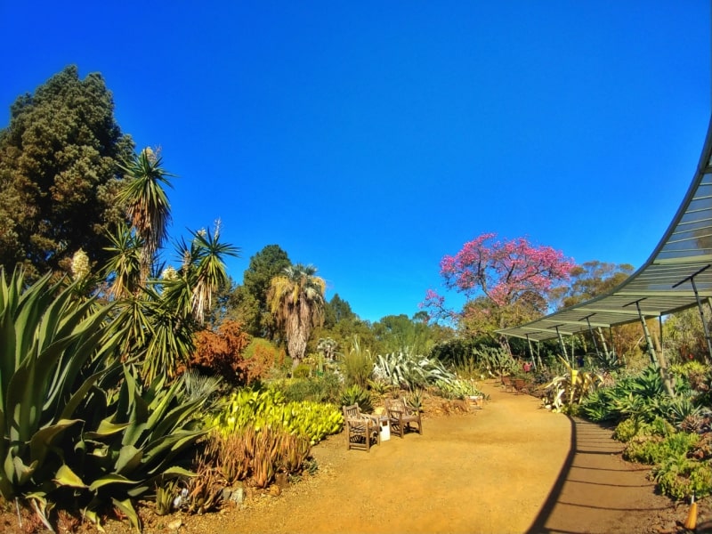Garden in Walnut Creek, California