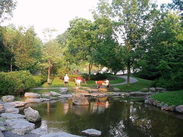 Park in Williamsville, New York