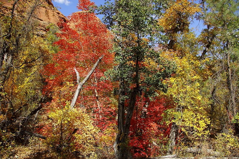 Hiking area in Yavapai County, Arizona