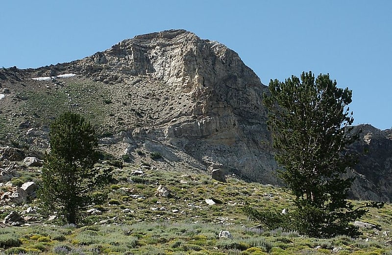 Greys Peak