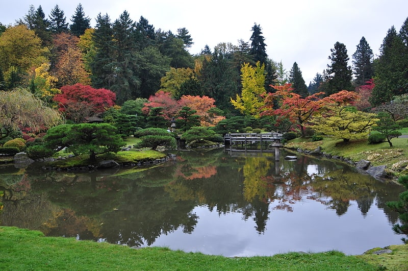 Garden in Seattle, Washington