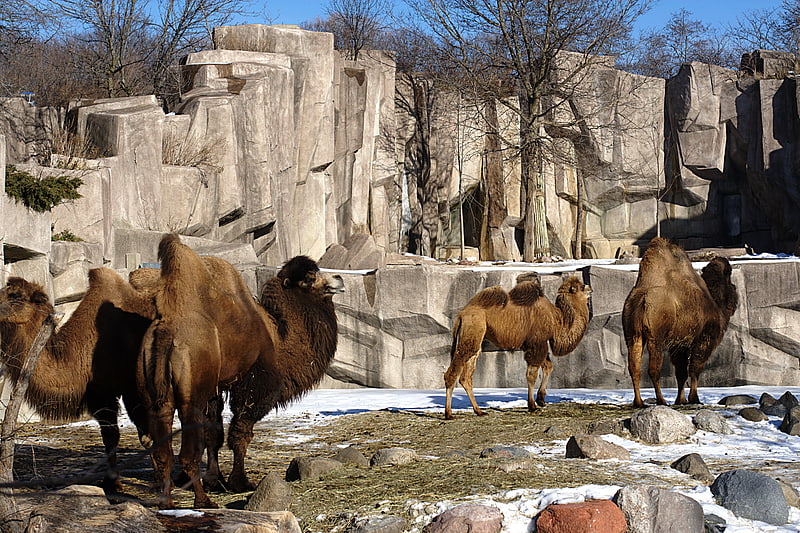 Parc zoologique à Milwaukee, Wisconsin