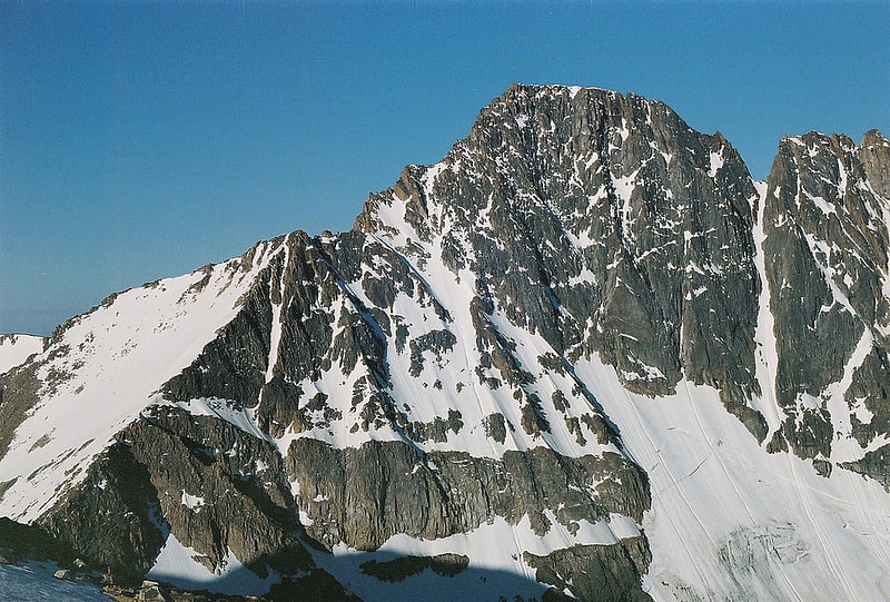 Berg in Montana