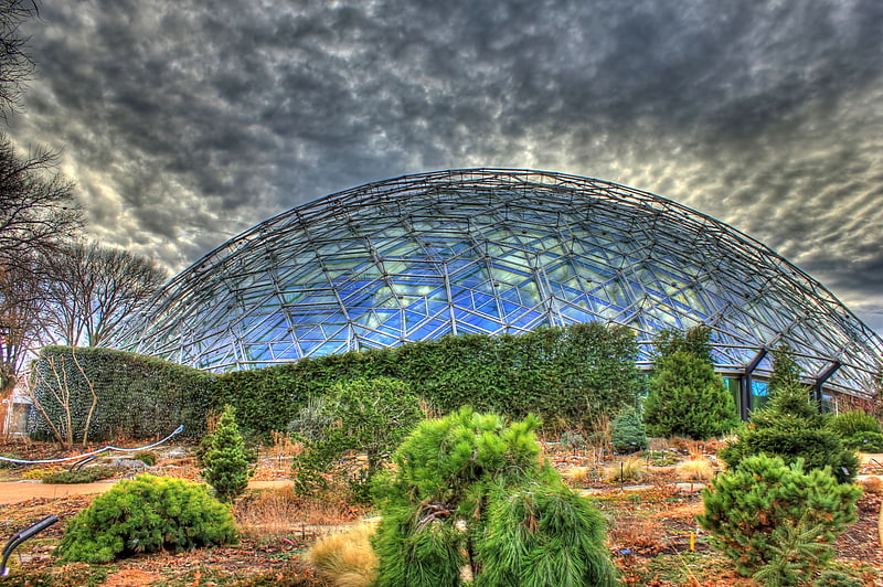 Plantas tropicales en una cúpula geodésica