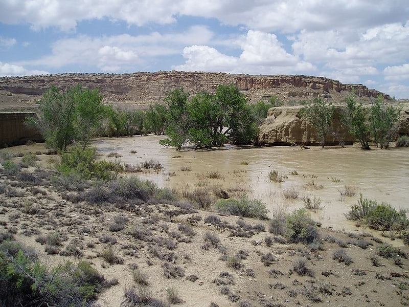 Tributary in New Mexico