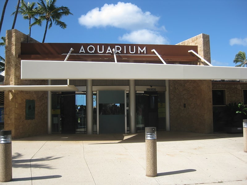 Aquarium in Honolulu, Hawaii