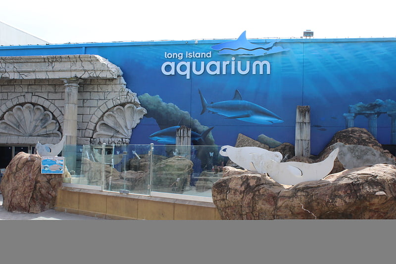 Aquarium in Riverhead, New York