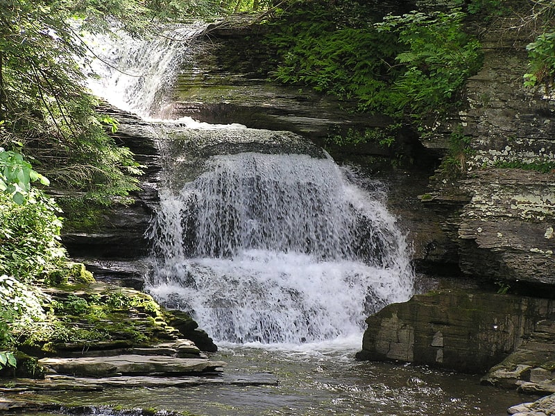 State park in Tompkins County, New York