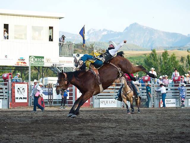 Roundup Rodeo