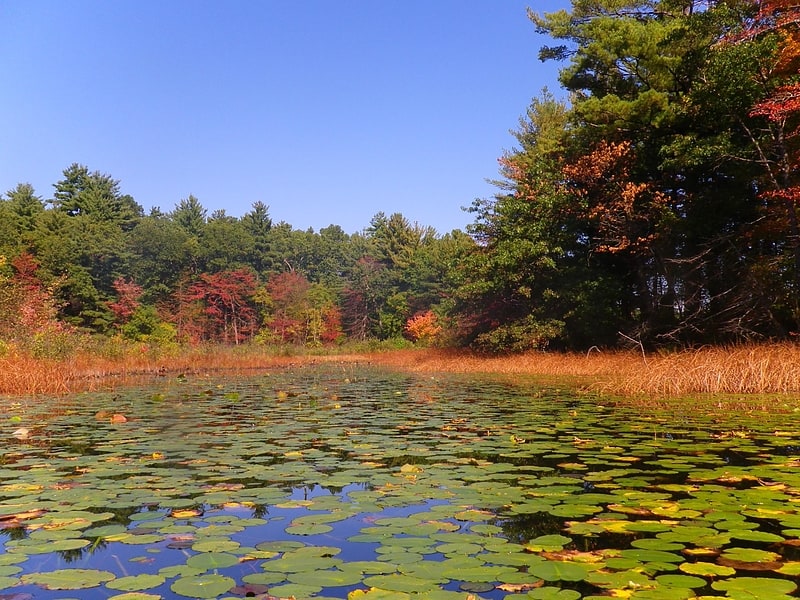 State park in Westfield, Massachusetts