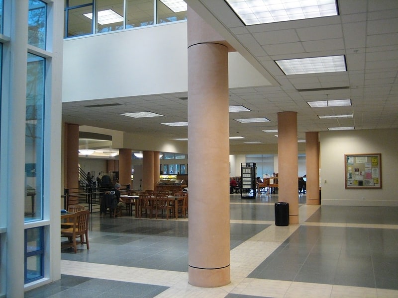 Shields Library