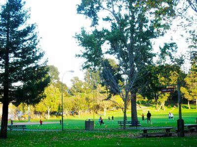 San Bruno Park