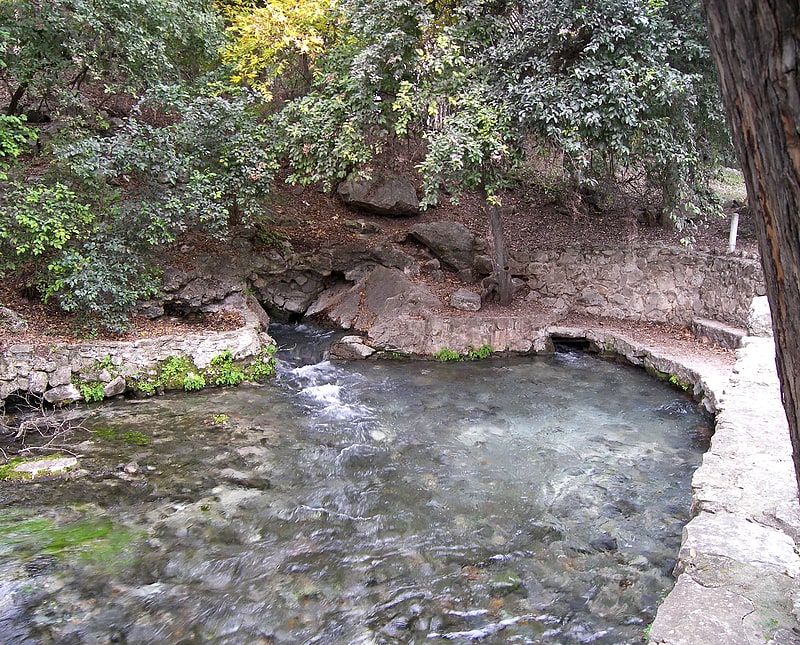 Comal Springs