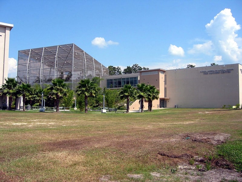 Museum in Gainesville, Florida
