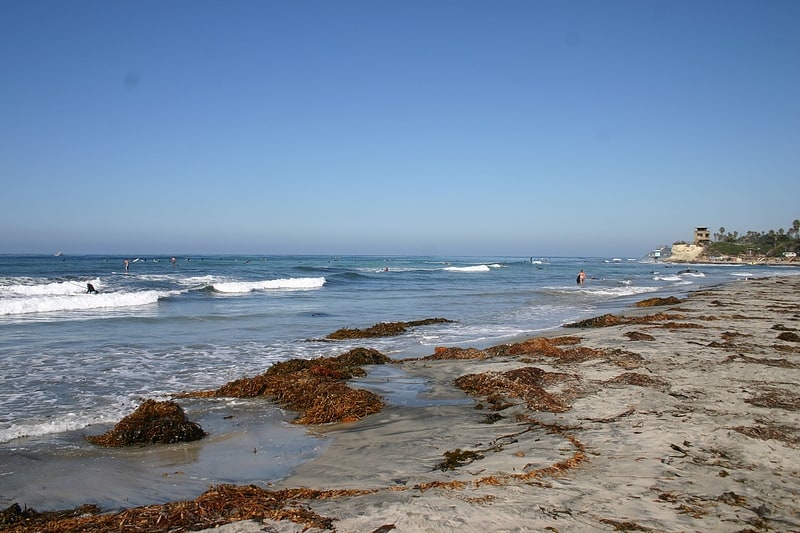 Beach in Encinitas, California