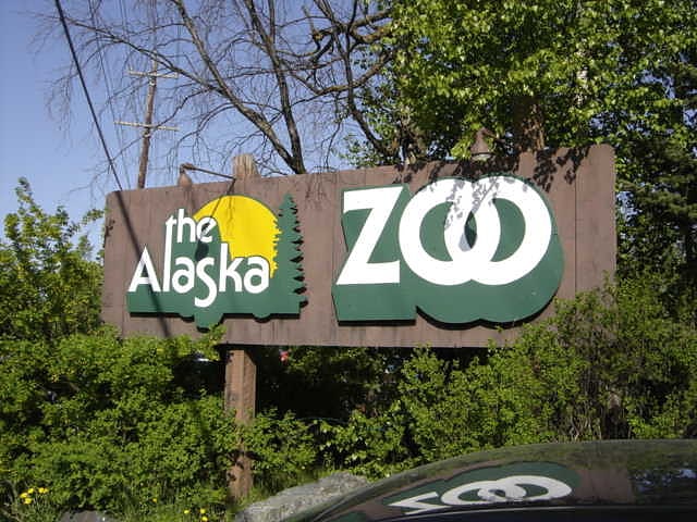 Tierpark in Anchorage, Alaska