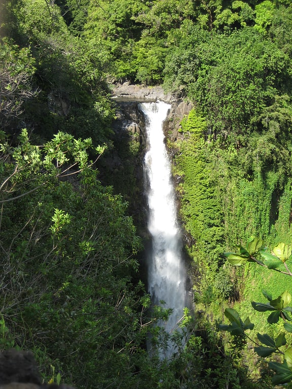 Cascada de 60 metros de altura en un parque nacional