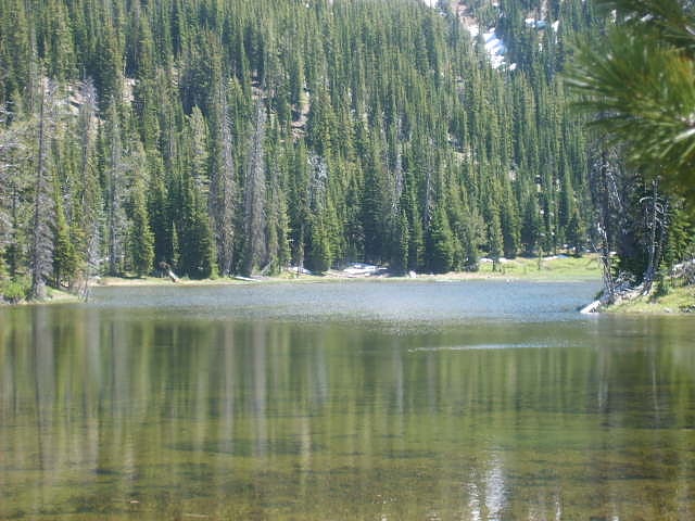 Pond in Oregon
