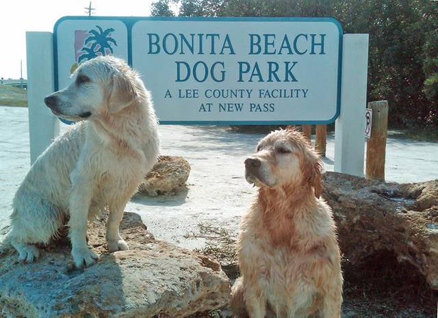 Bonita Beach Dog Beach