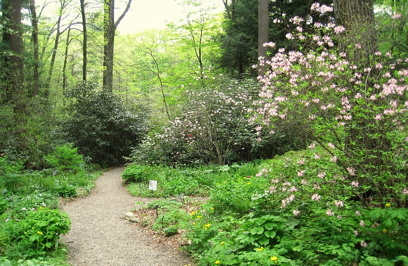 Leśny ogród botaniczny z klubem roślin