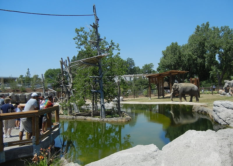 Jardín zoológico en Denver, Colorado