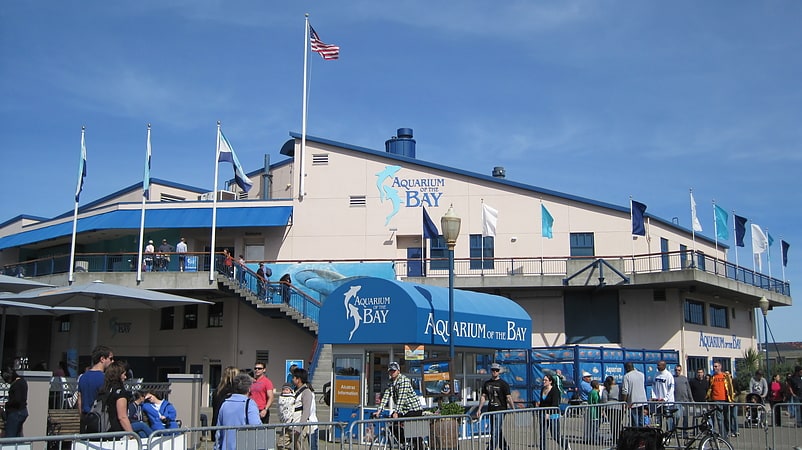 Aquarium public à San Francisco, Californie