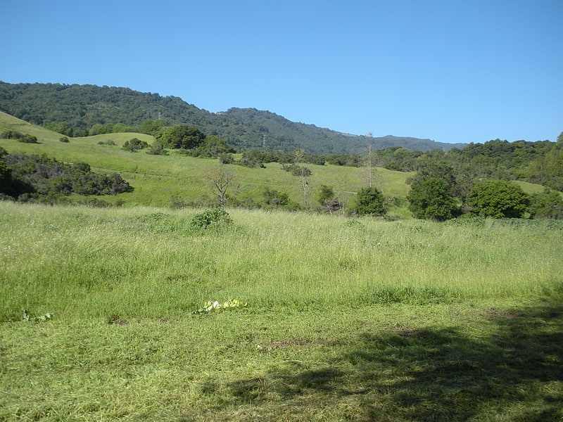 Rancho San Antonio Preserve