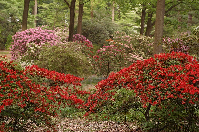 Arboretum in Delaware County, Pennsylvania