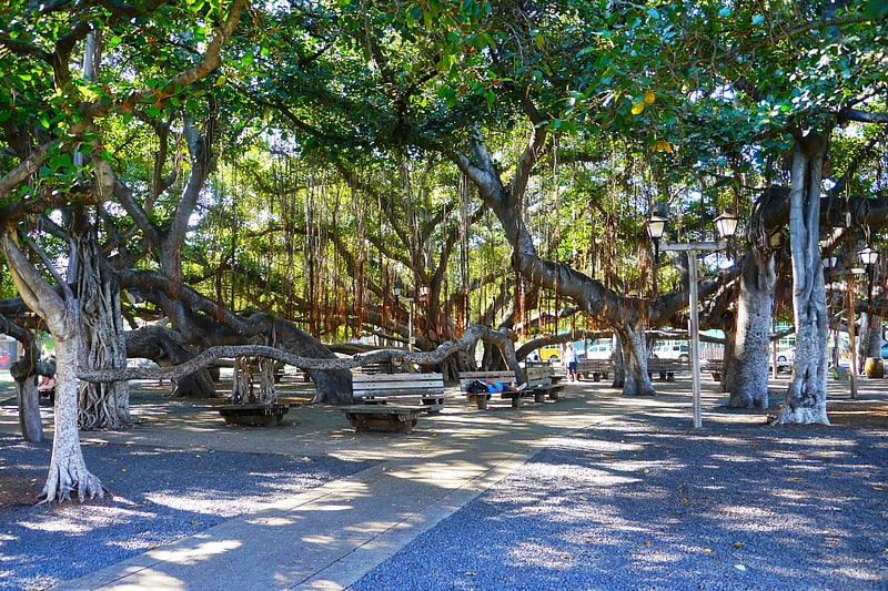 Park in Lahaina, Hawaii