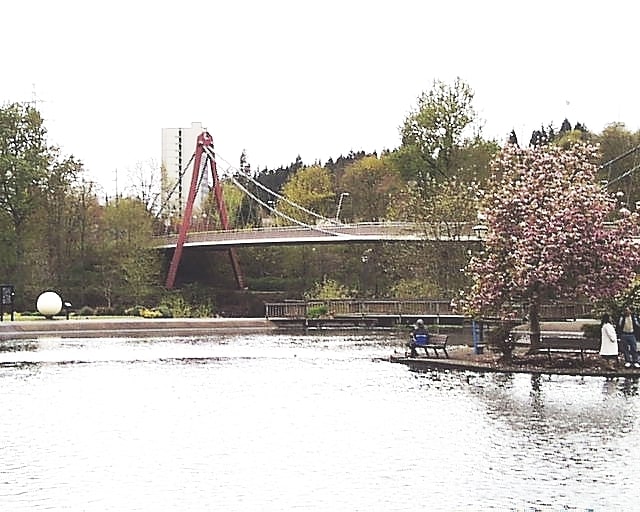 Bridge in Eugene, Oregon