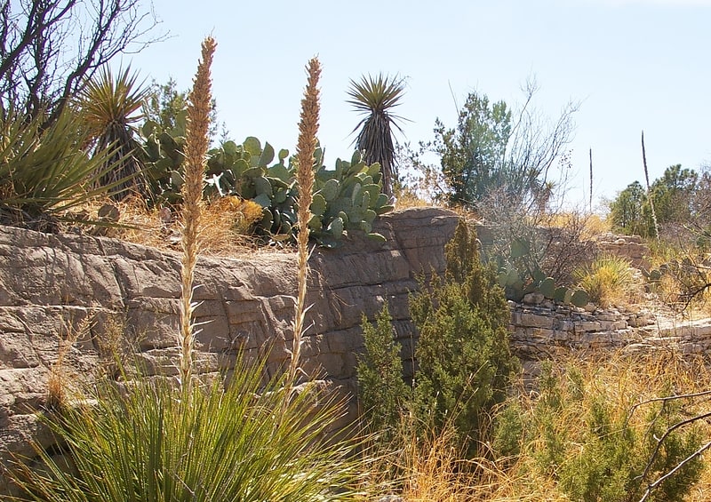 Living Desert State Park