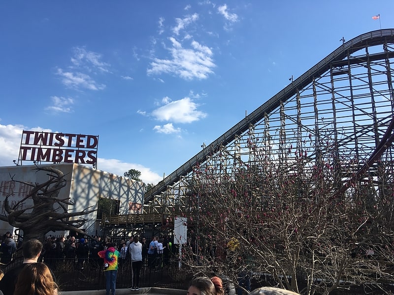 Twisted Timbers