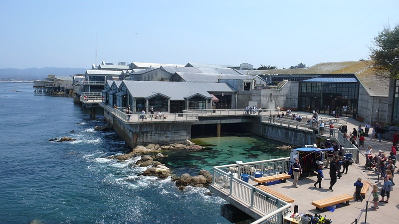 Aquarium in Monterey, Kalifornien