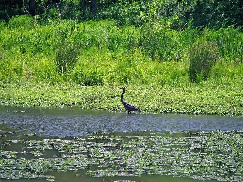 Nature preserve in Greenville County, South Carolina