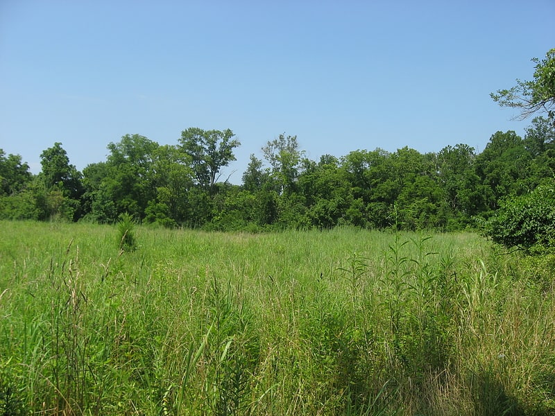 Archaeological site in Milford, Ohio