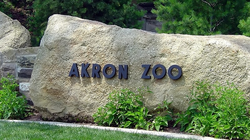 Zoo w Akron