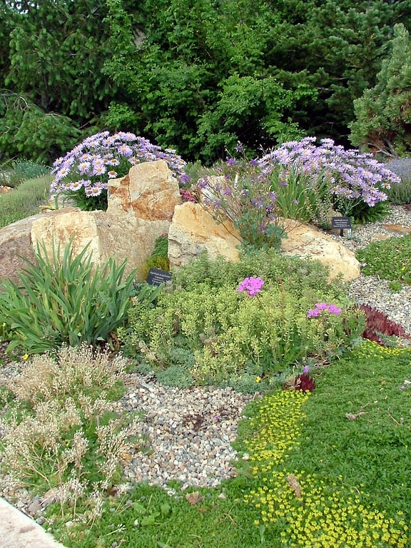 Botanical garden in Vail, Colorado