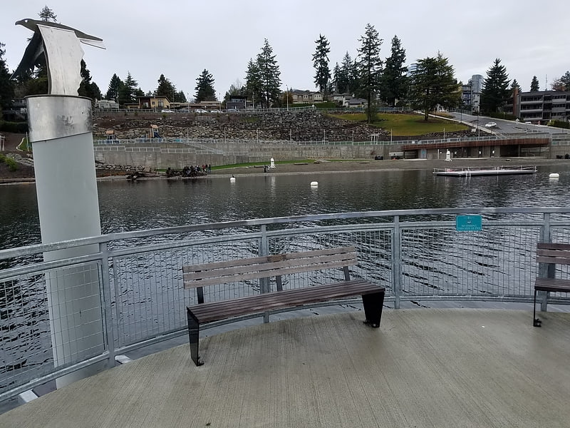 Park in Bellevue, Washington