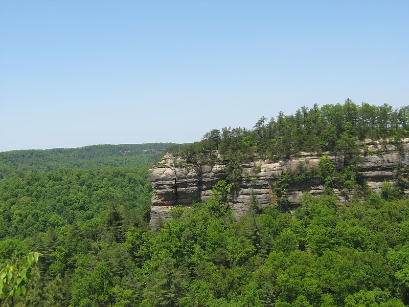 Nationales Waldgebiet in Kentucky