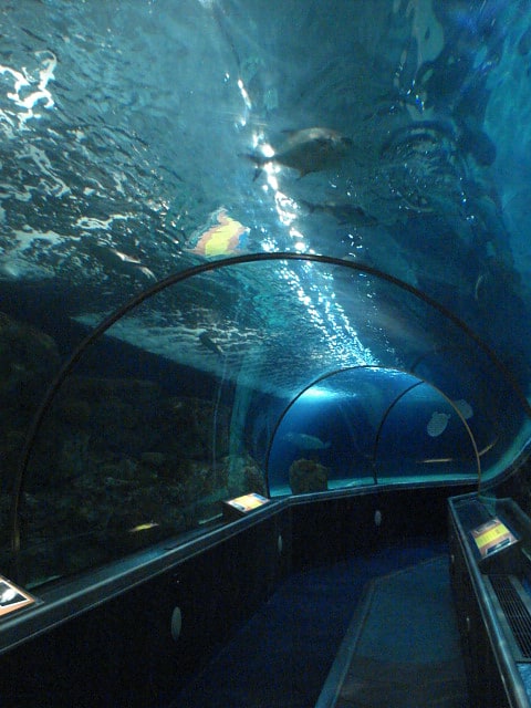 Aquarium in Bloomington, Minnesota