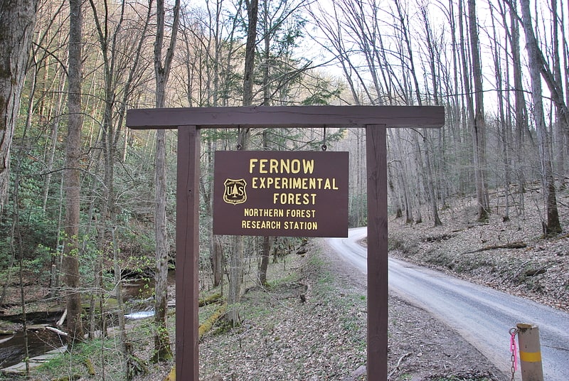 National forest in Tucker County, West Virginia