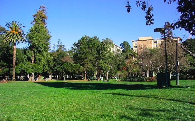 Parc à Berkeley, Californie